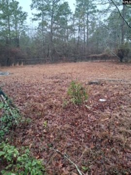 LOTS AND ACREAGE, Leesville, SC