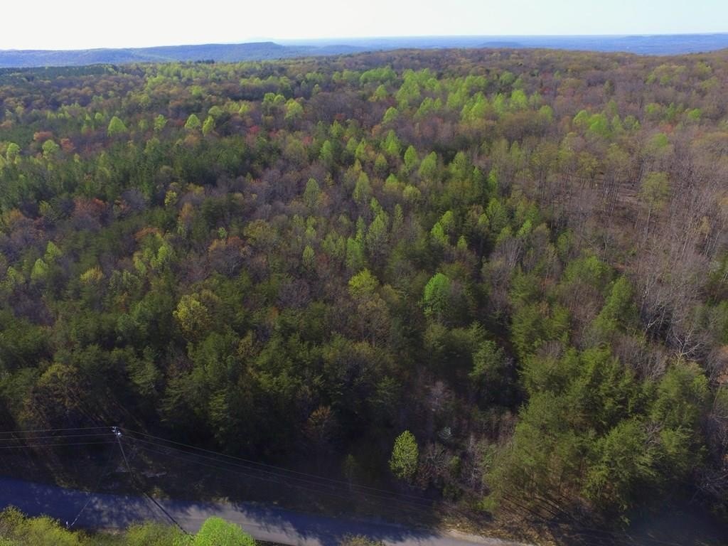 Scenic Land in Hawks Bluff
