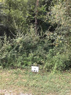 Heavily Wooded Gated Community Lot