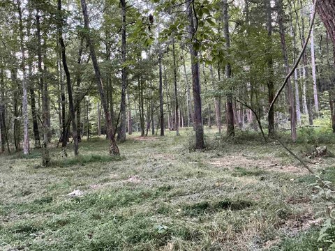 Vacant Land, Damascus, AR