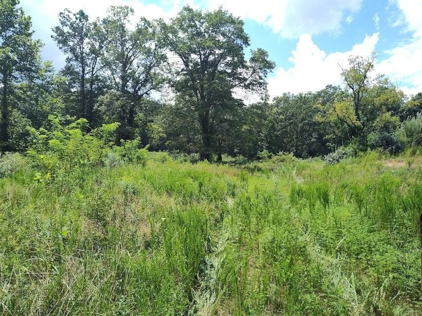 220 Acres in Morehead, KY