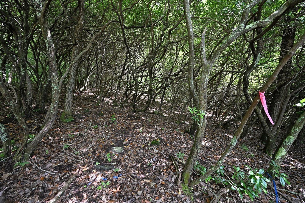 Picture 23