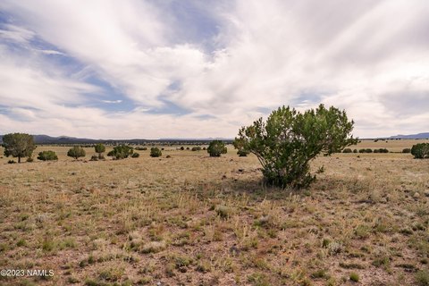 Expansive Ash Fork Acreage