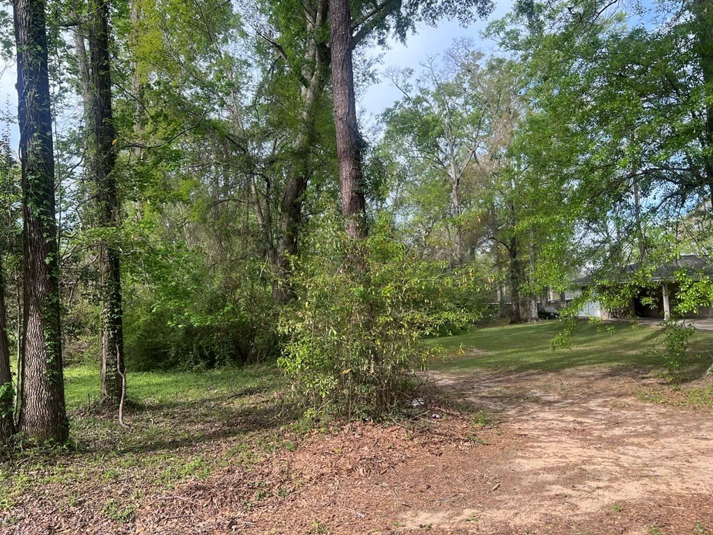 Picture 3