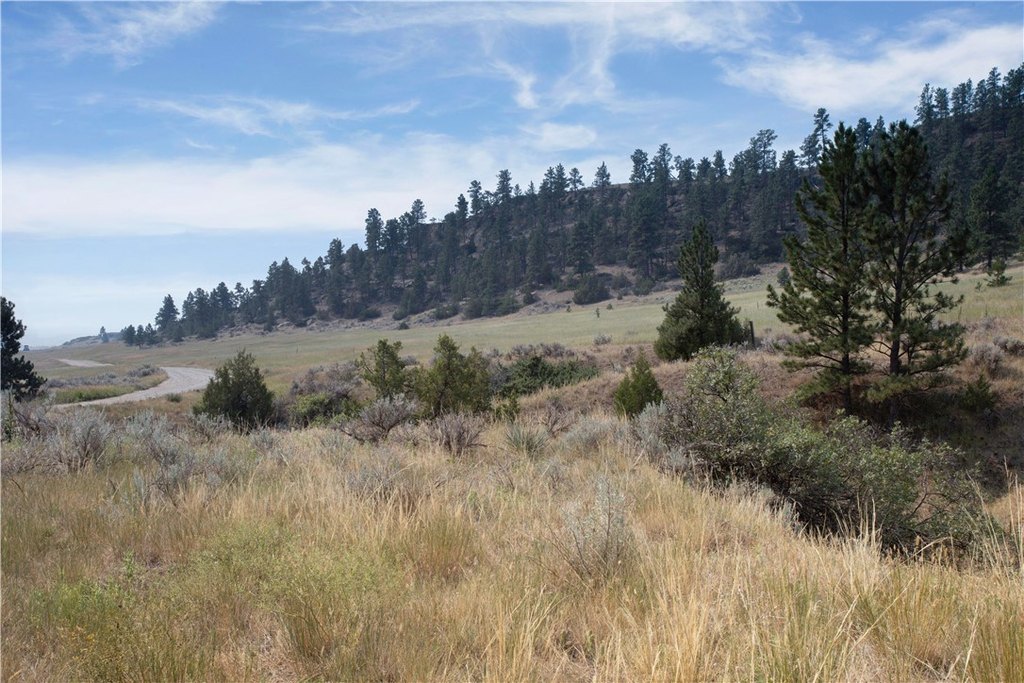 Picture 45