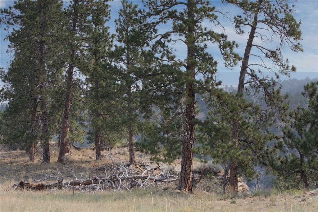 Picture 39