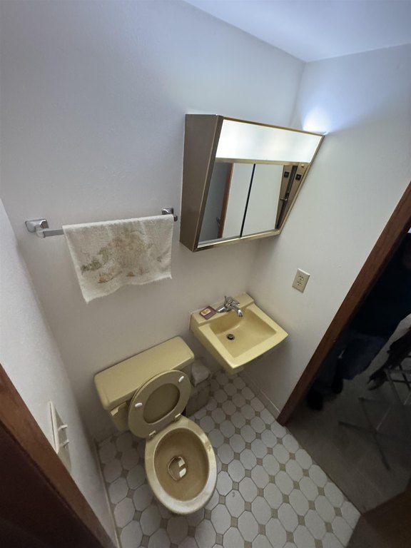 Picture 15