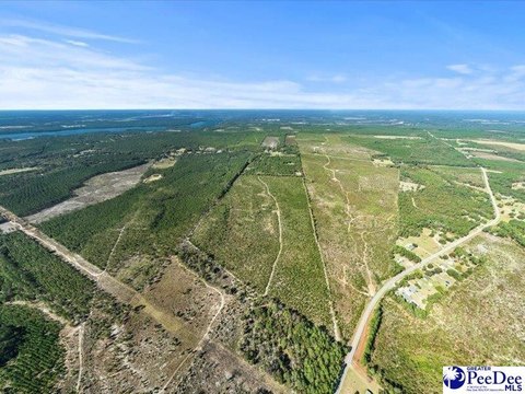 Planted Pine Farmland Tract