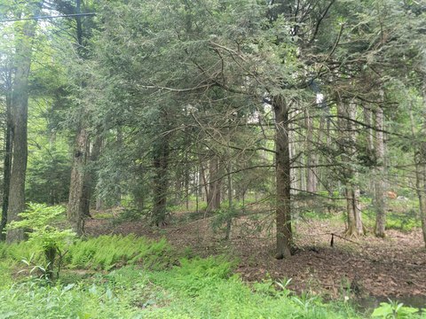 Pocono Lake Land For Sale