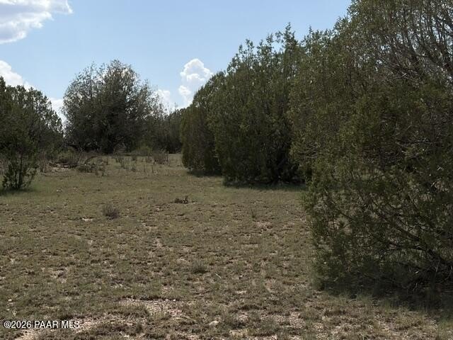 Picture 7