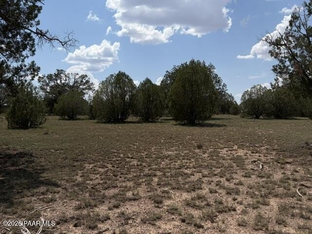 Picture 8