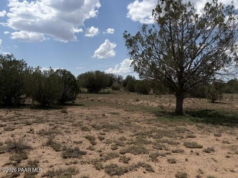 Land, Seligman, AZ