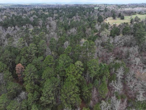 Cove, AR - 5 Acres
