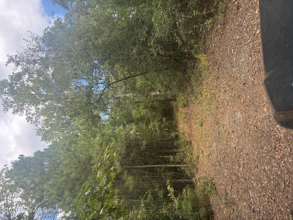 Picture 20