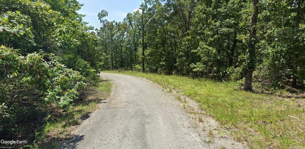 Picture 8