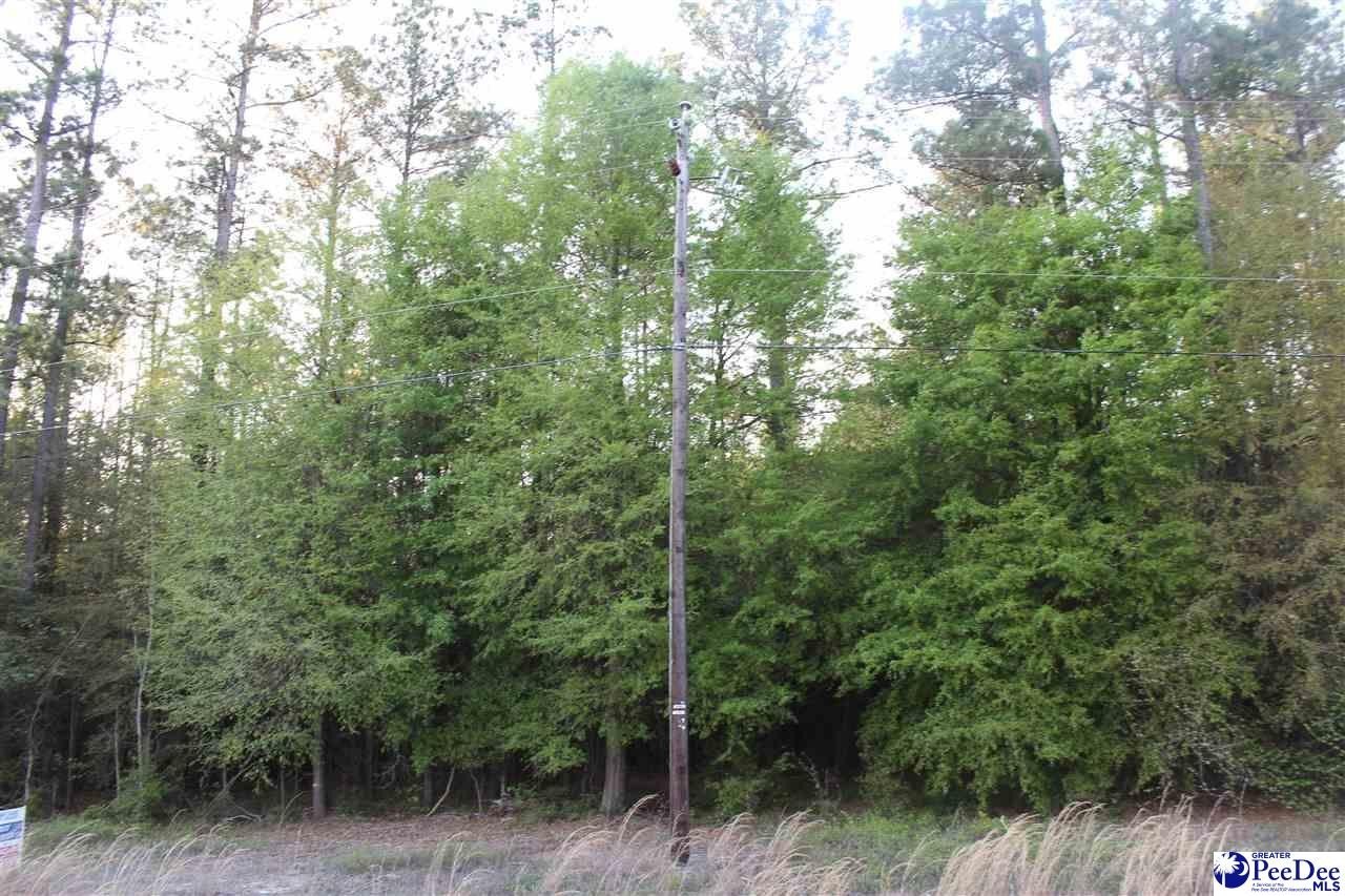 Wooded Lot Near Boat Landing