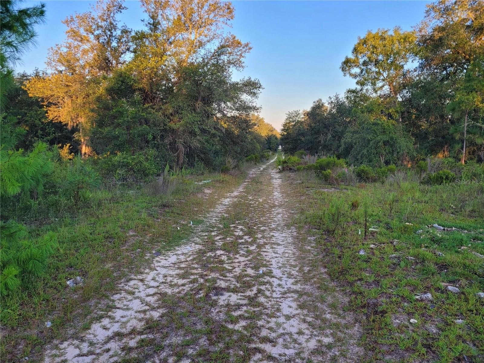 Vacant Lot in Levy County