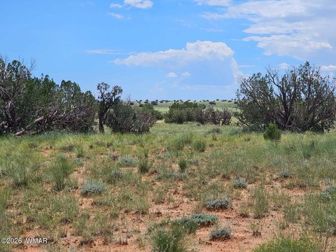 Land, Heber, AZ