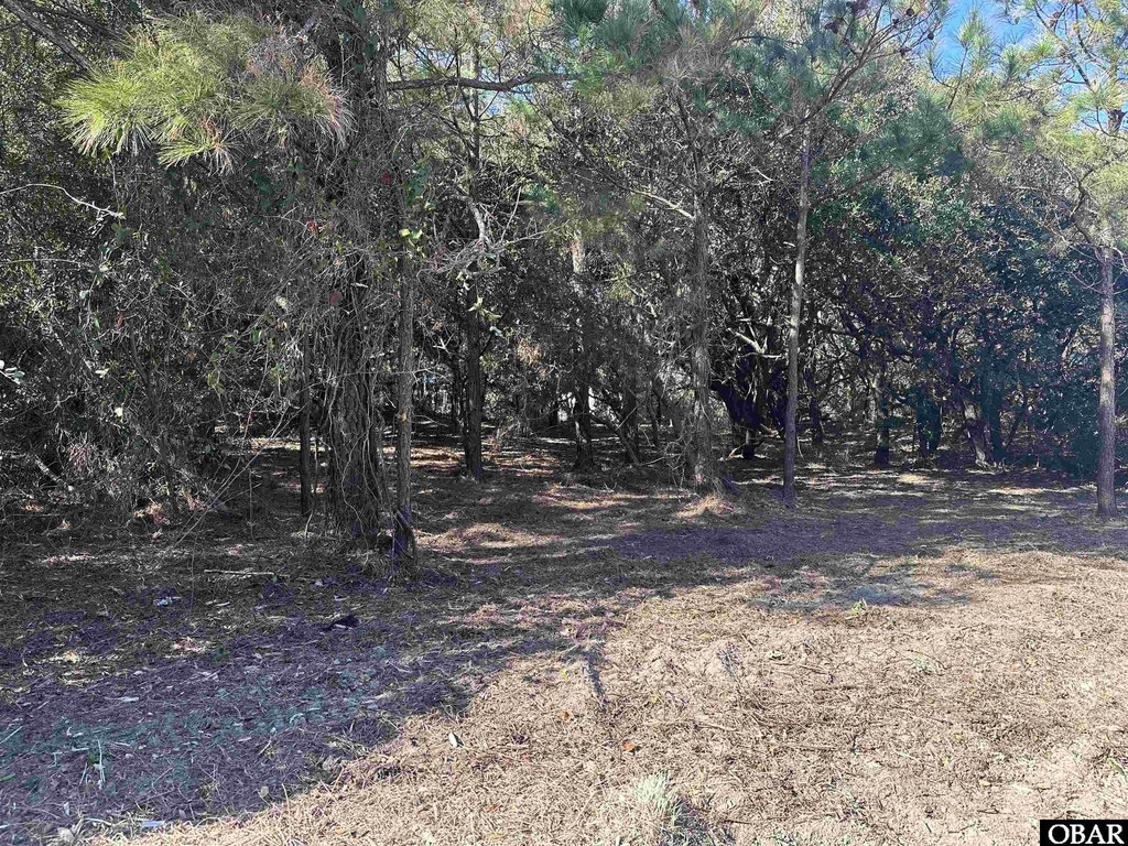 Picture 18
