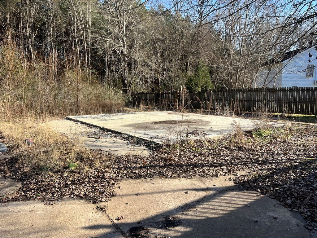 Picture 5