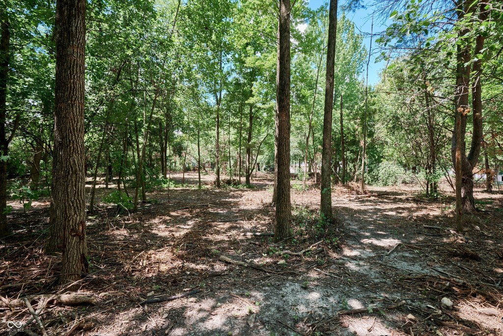 Picture 9