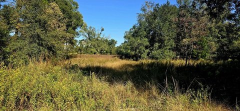 Land, Branford, FL