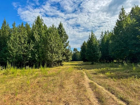 Ranch, Hunting & Recreation Tract