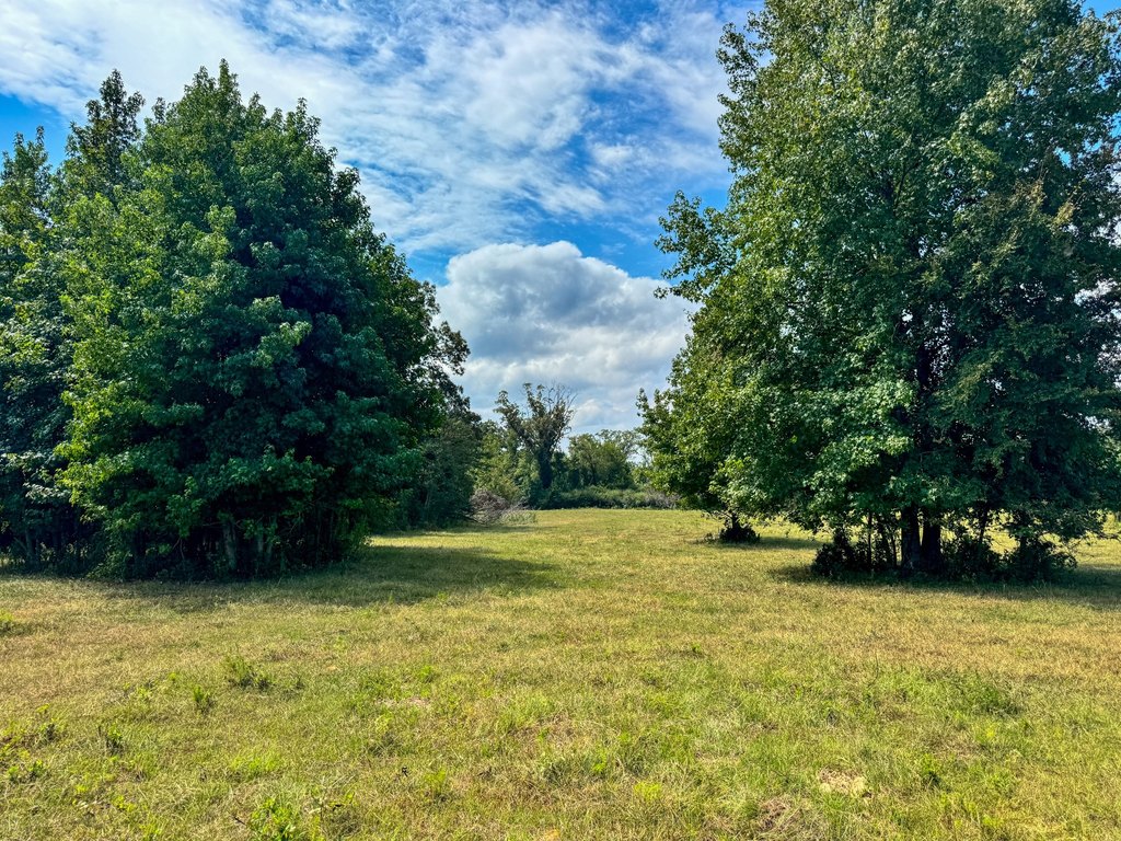 Picture 25
