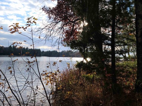 Lots & Acreage, New Lisbon, WI