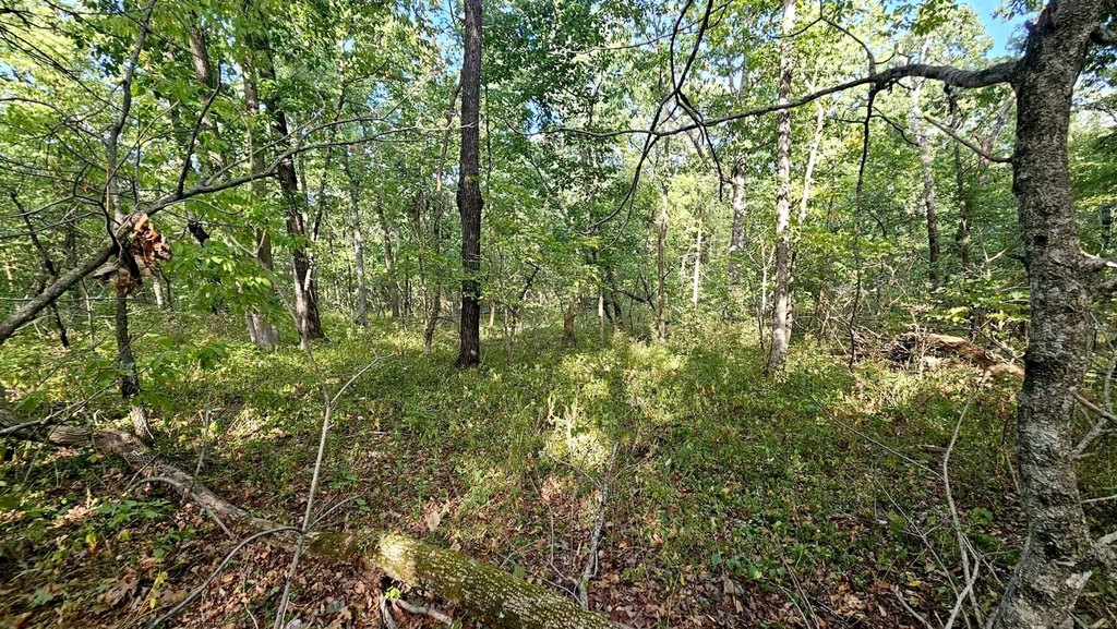 Picture 15