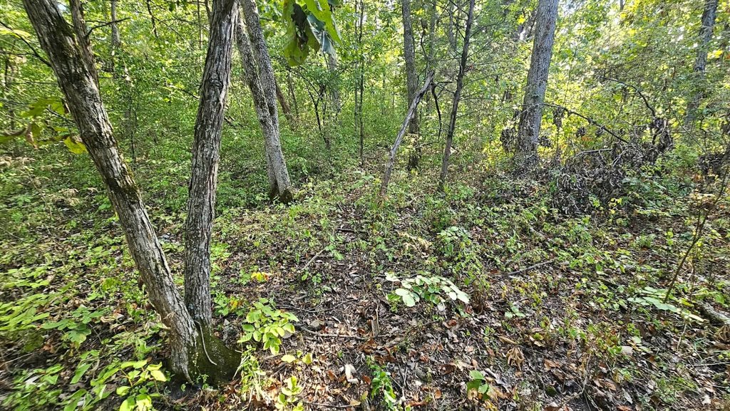Picture 22