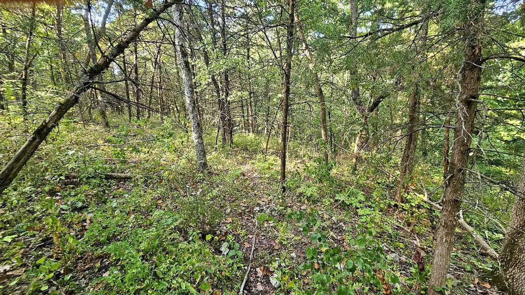 Picture 17