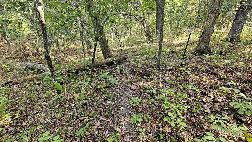 Picture 23