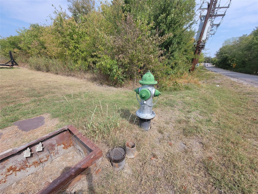 Picture 9