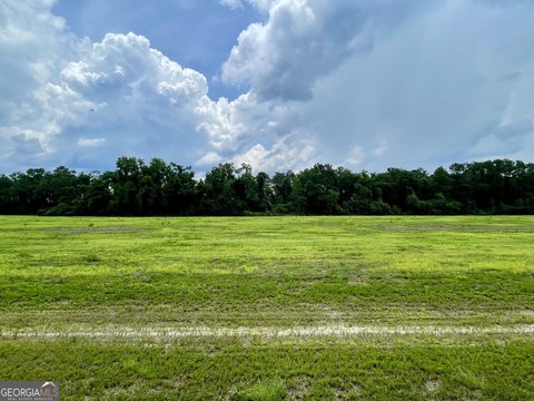 LAND - Brooklet, GA