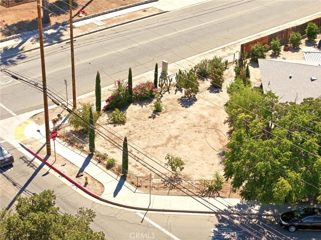 Picture 13