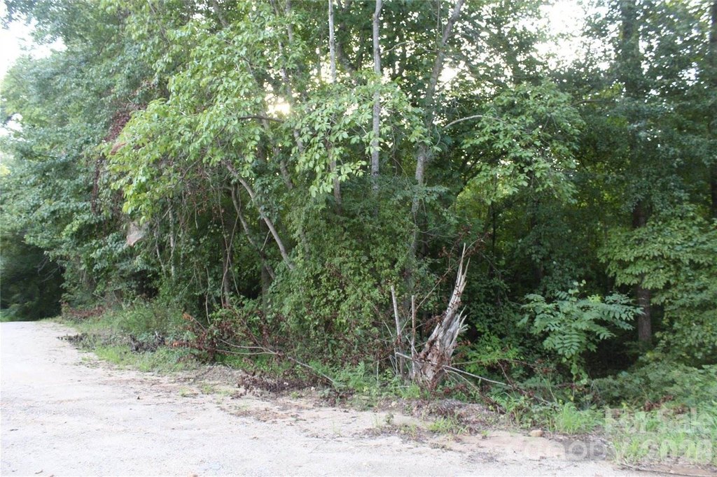 Picture 7