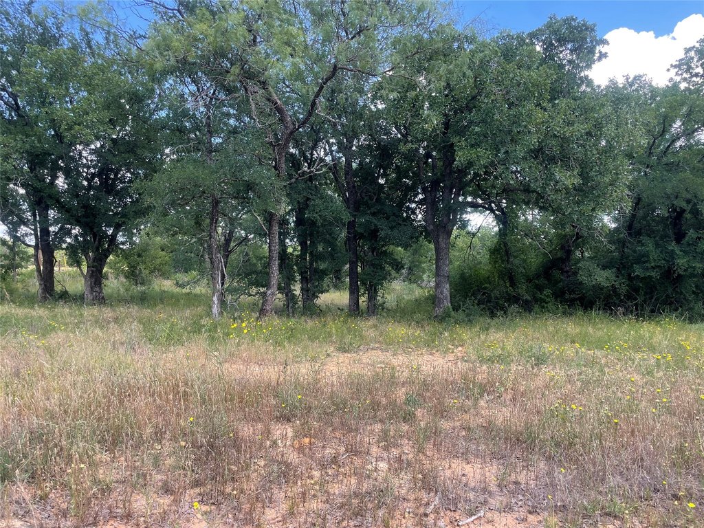 Picture 27