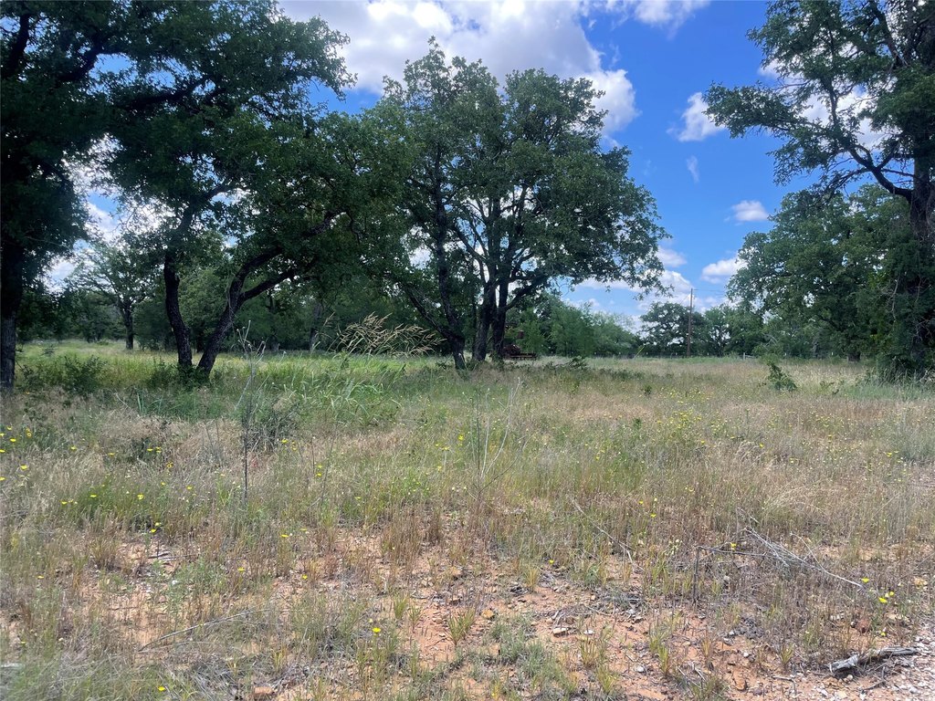 Picture 28