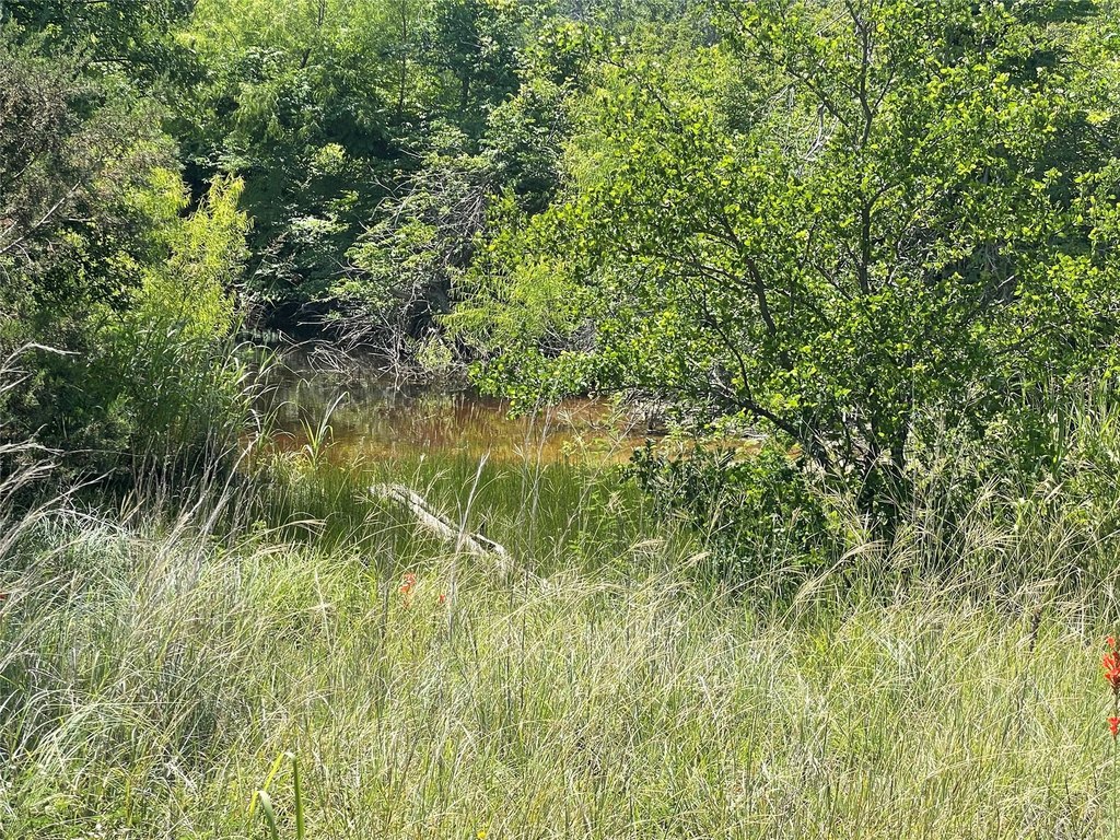 Picture 32