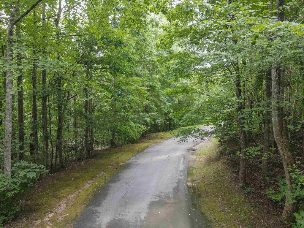 Picture 43