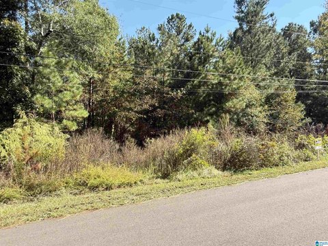 Odenville Acreage: Build Your Dream