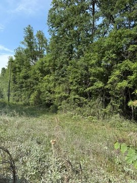 Spacious Land in Lake City