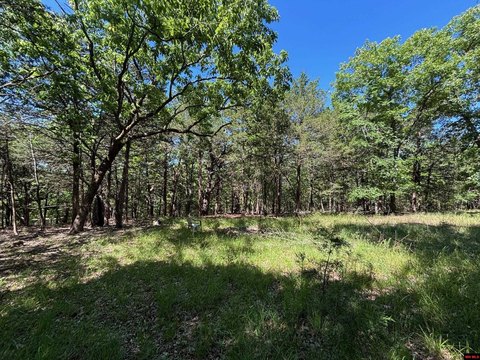 1.34 Acres Near Lake Access