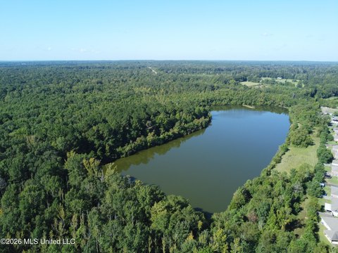Land, Pearl, MS