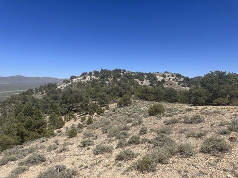 638+ Acres Near Winecup Ranch