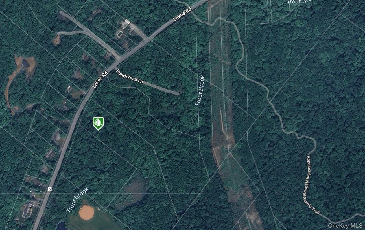 Approved Lot Near Trout Brook
