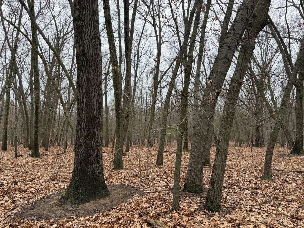 Picture 18