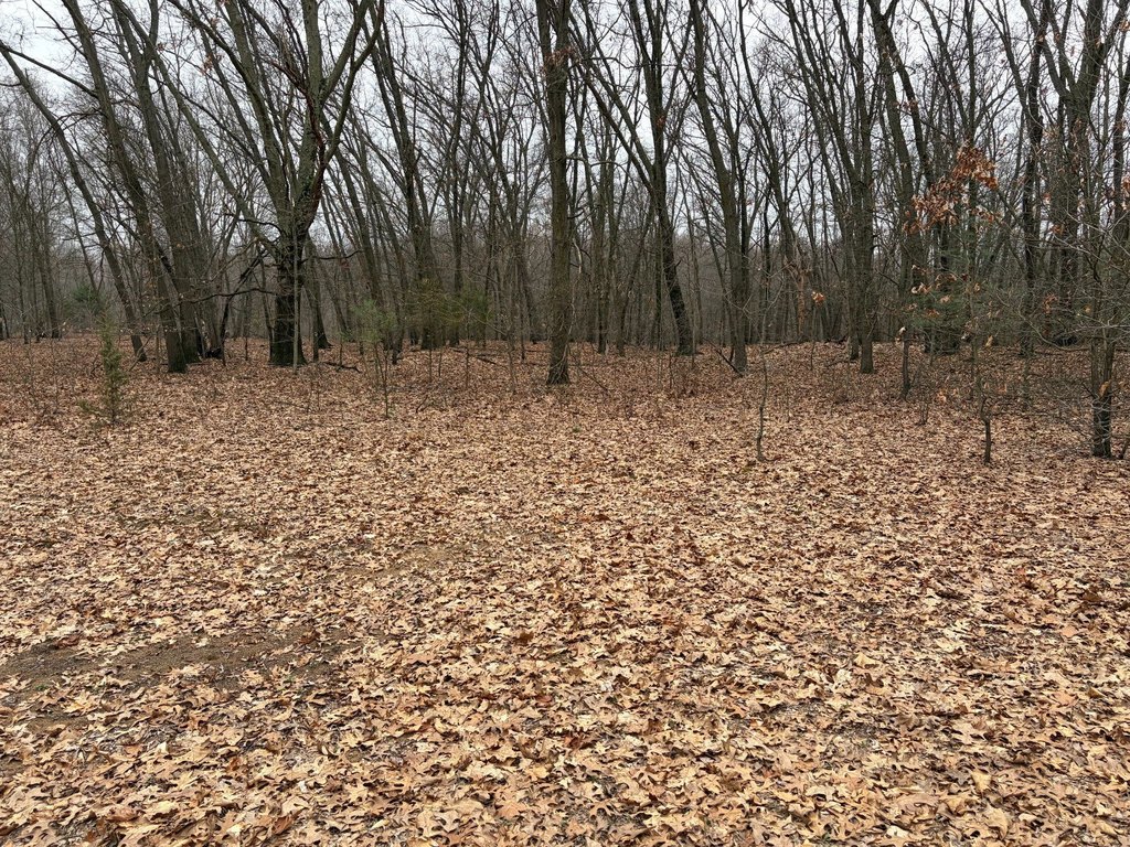 Picture 17