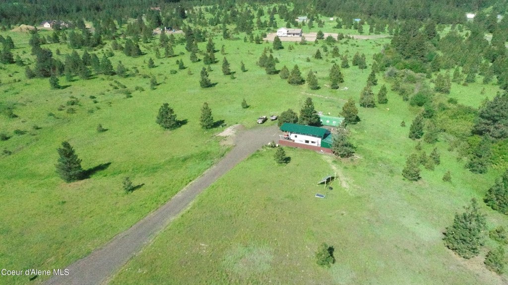 Picture 3